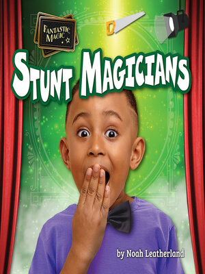 cover image of Stunt Magicians